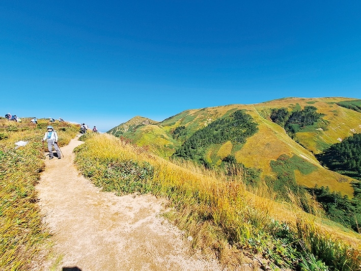 メインイメージ