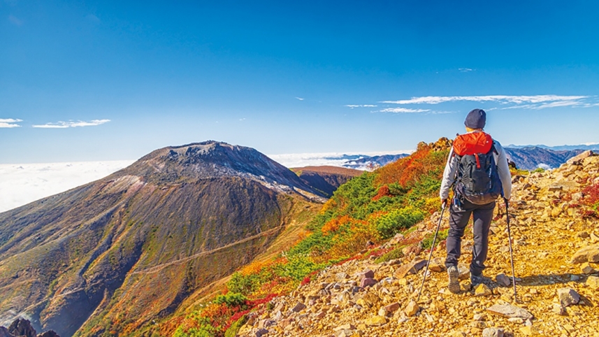 メインイメージ