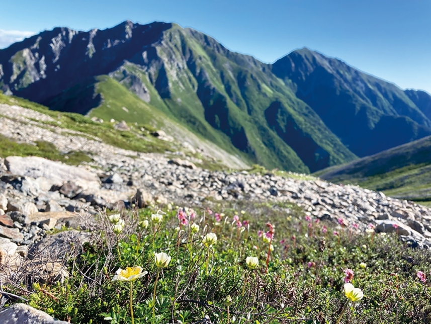 メインイメージ