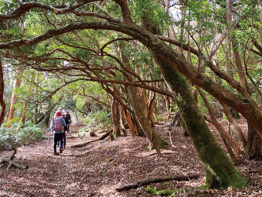 メインイメージ