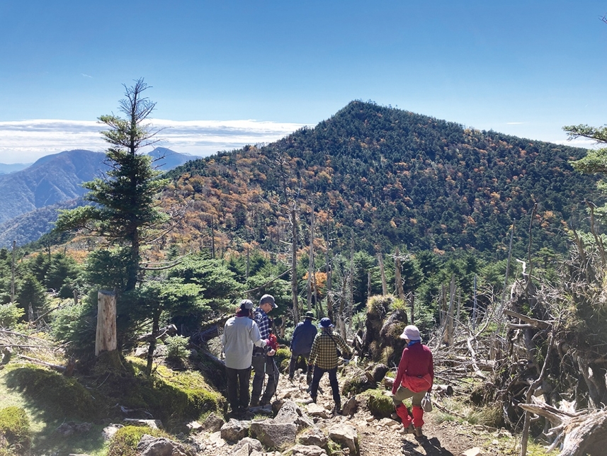 メインイメージ