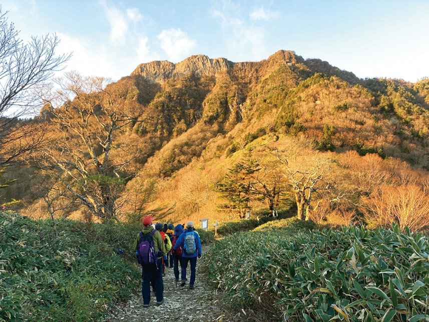 メインイメージ