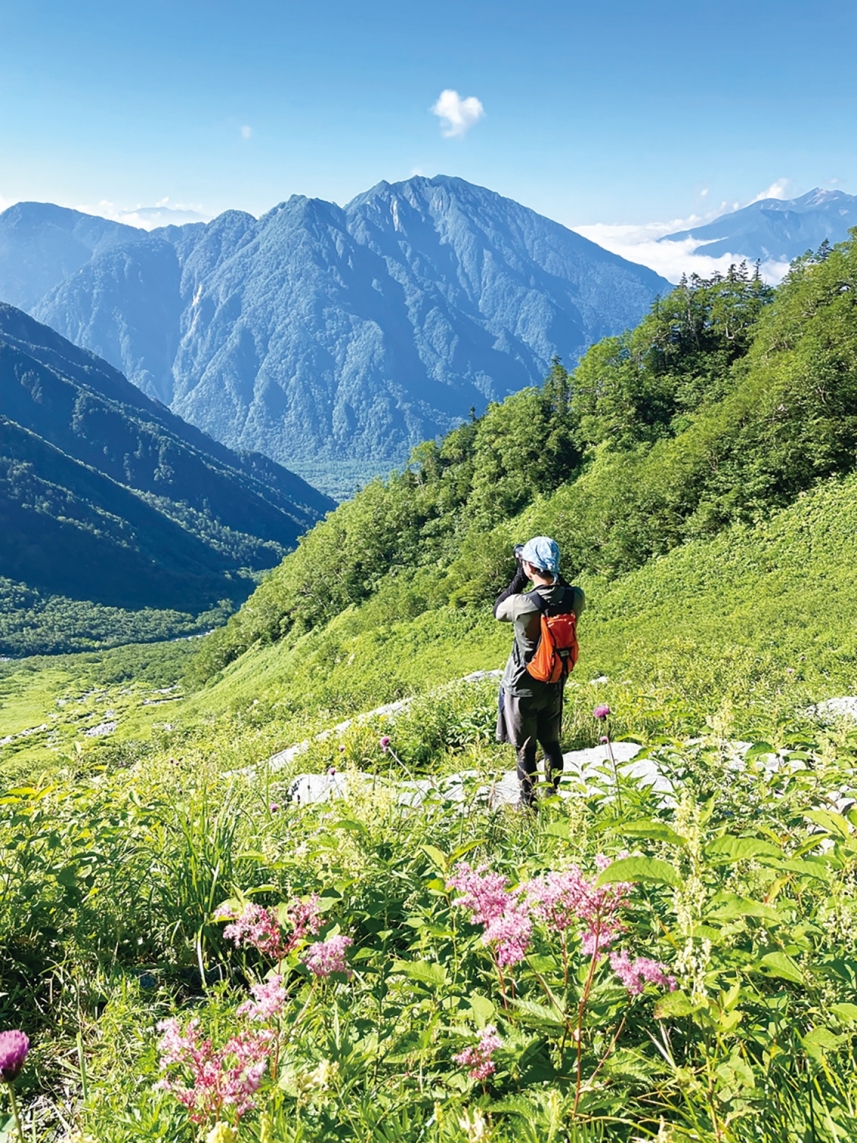 メインイメージ