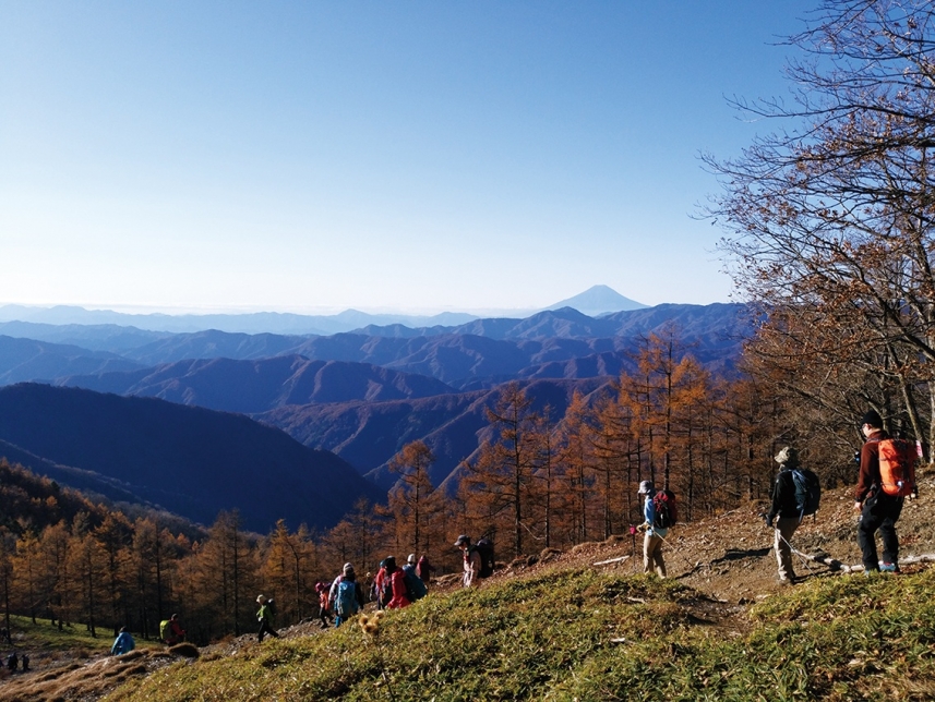 メインイメージ