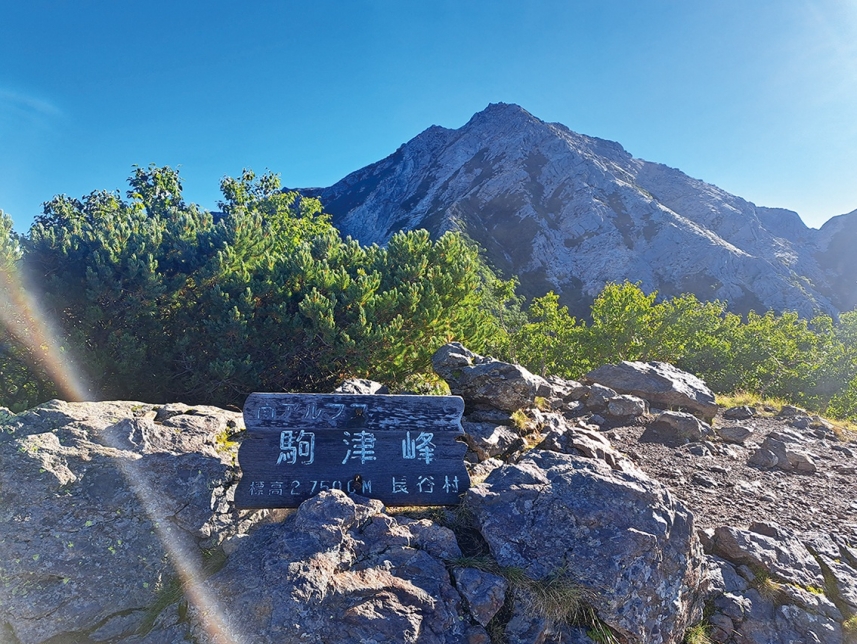 メインイメージ