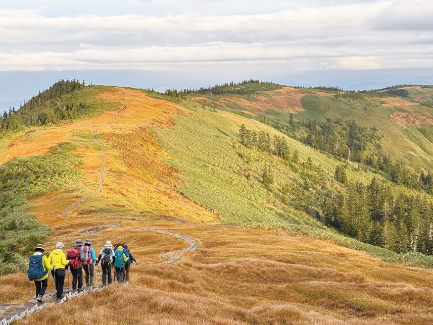 メインイメージ