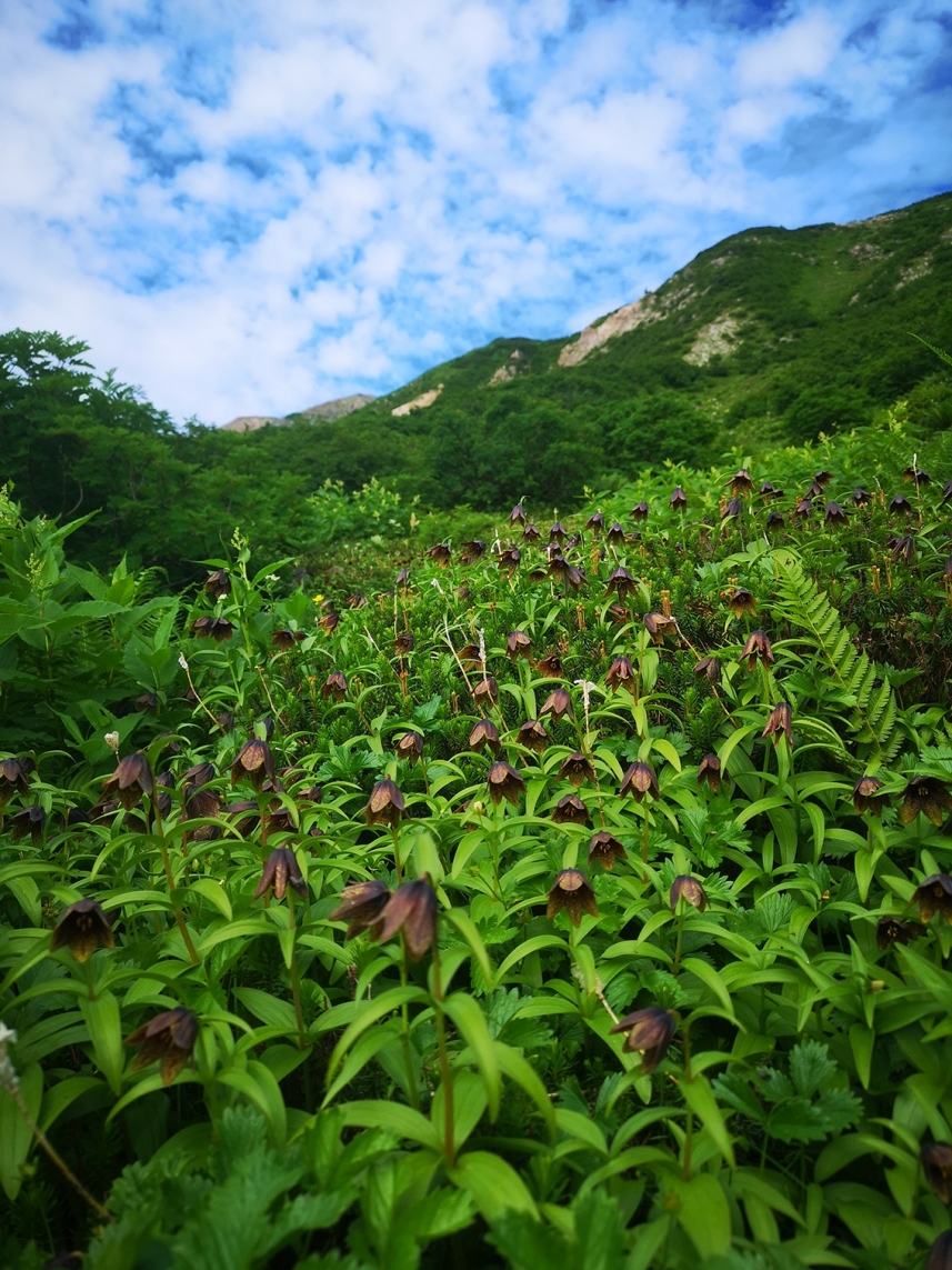 メインイメージ