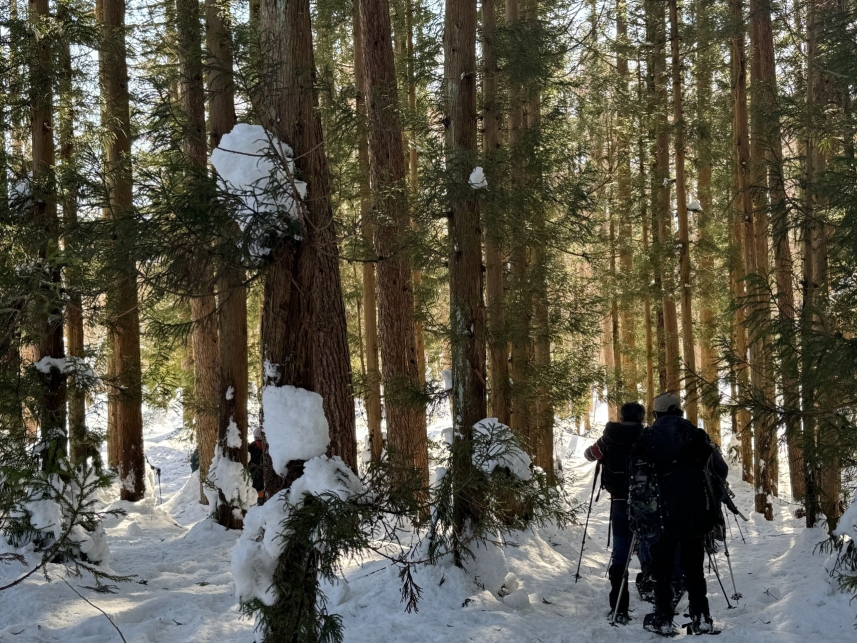 メインイメージ