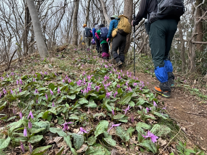 メインイメージ