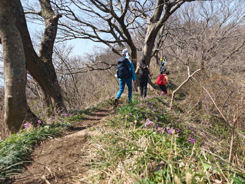 メインイメージ