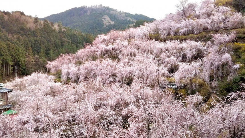 メインイメージ