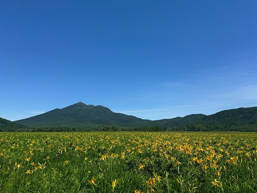 メインイメージ