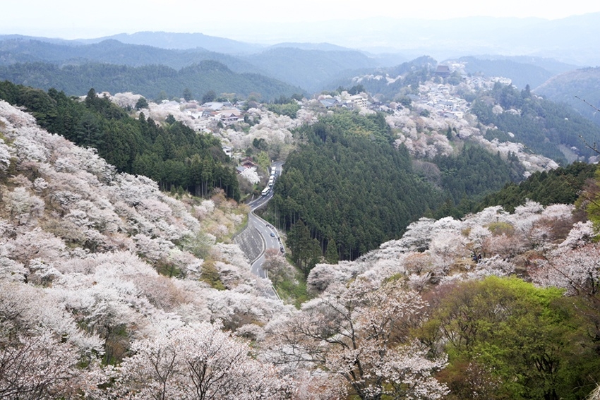 メインイメージ