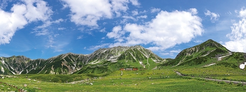 メインイメージ