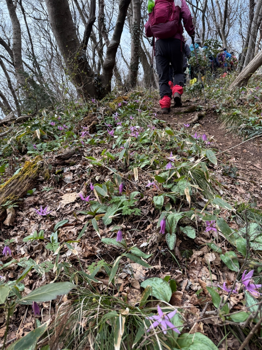 メインイメージ