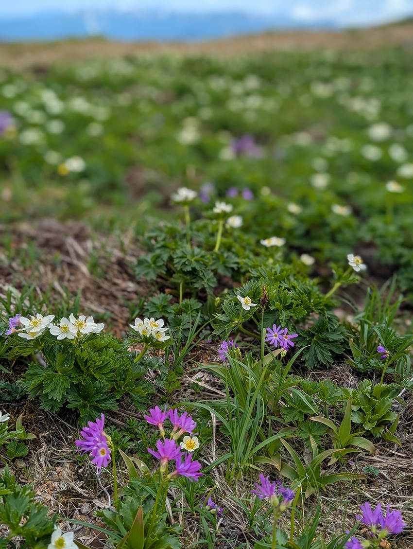 メインイメージ