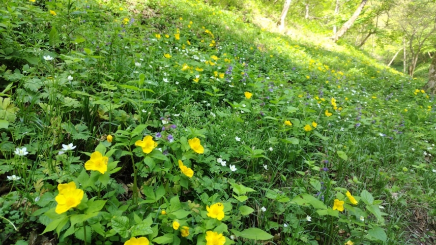 メインイメージ