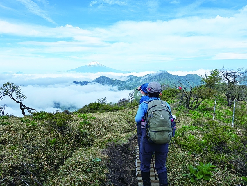 メインイメージ