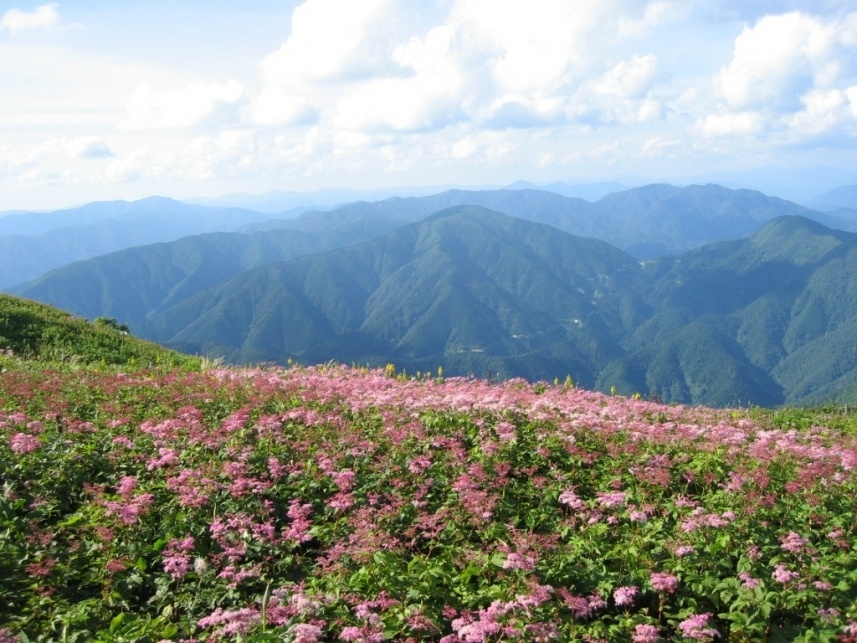 メインイメージ