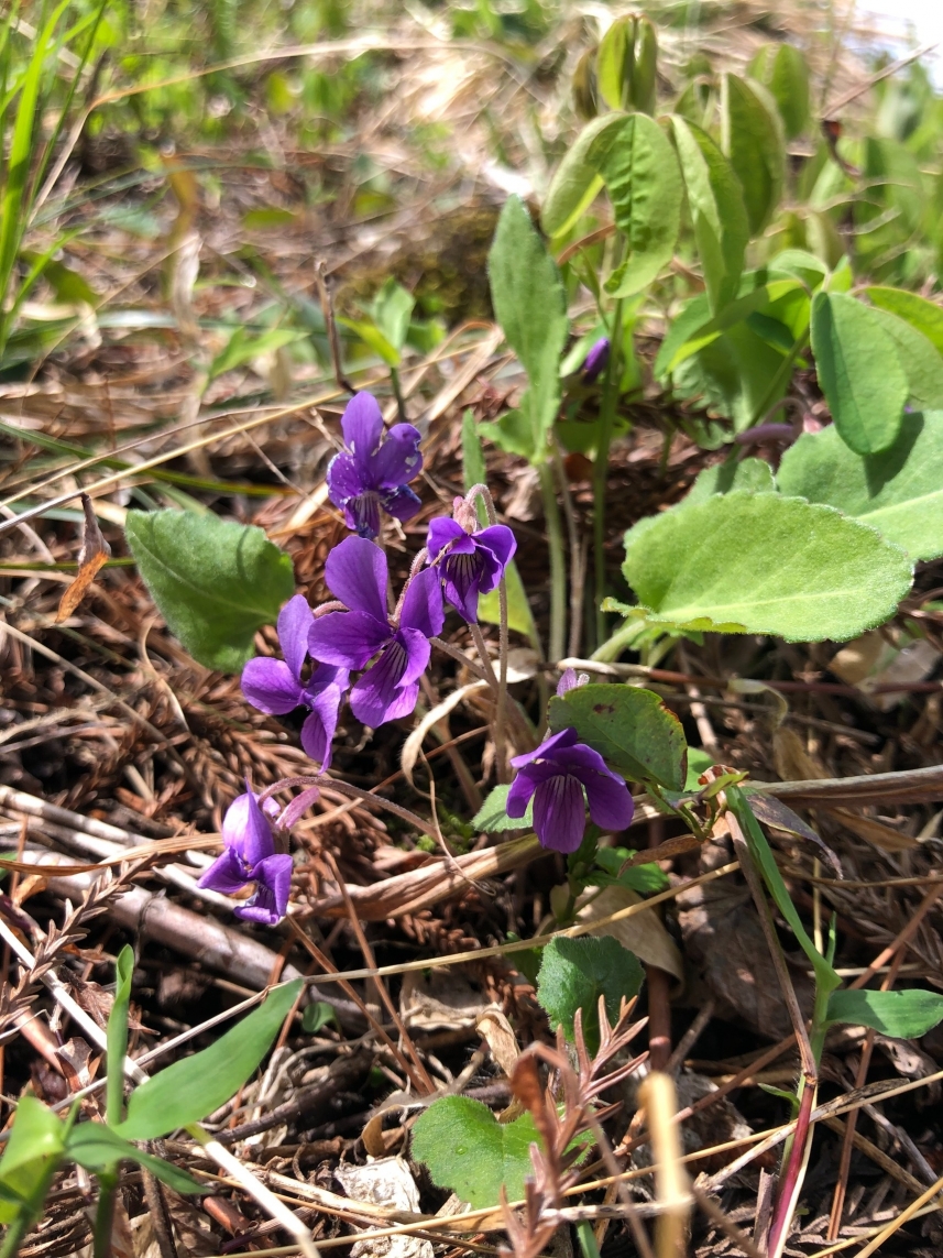 メインイメージ