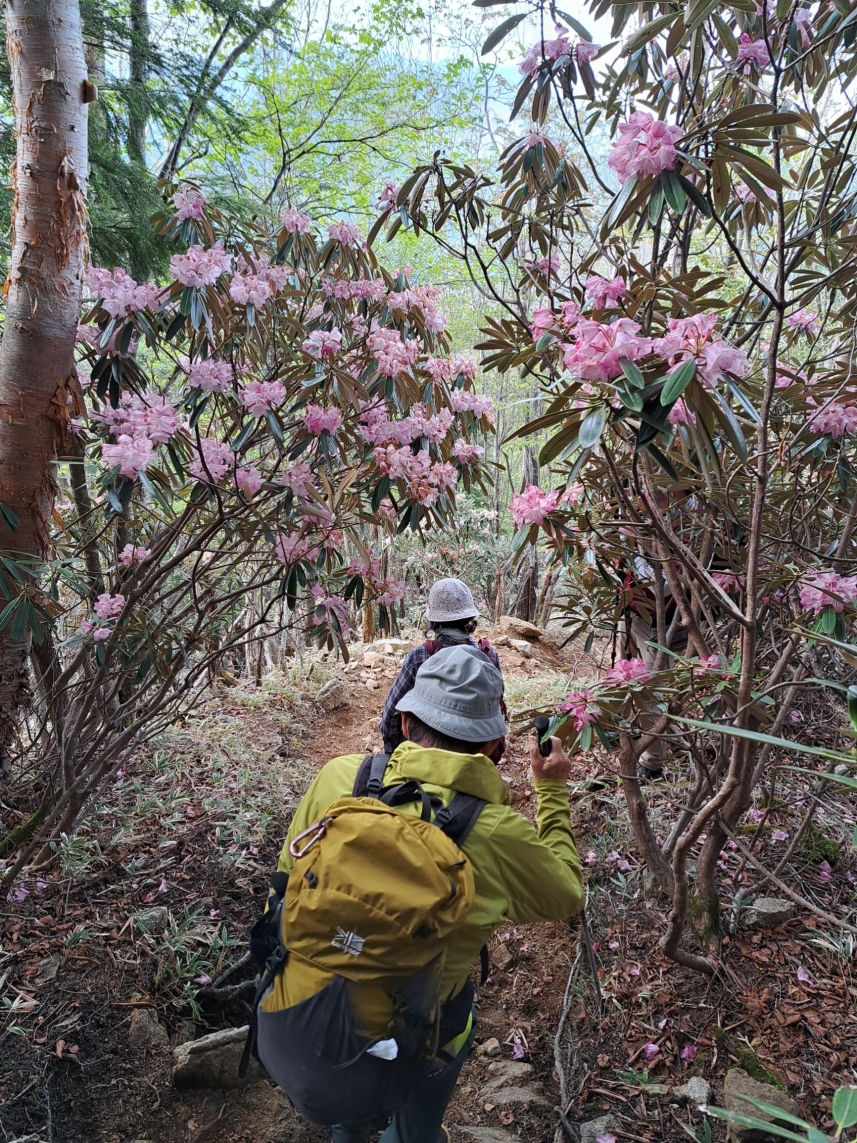 メインイメージ