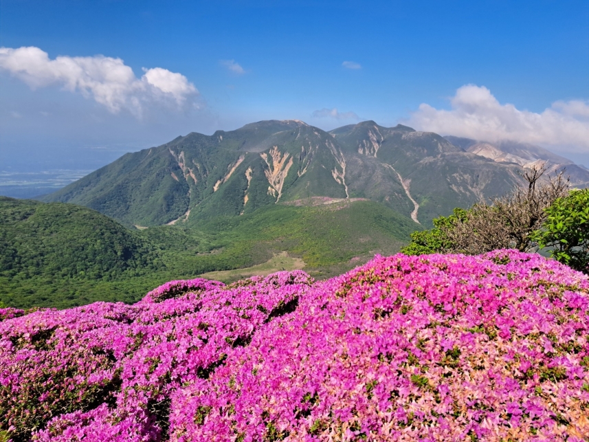 メインイメージ