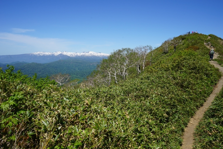 メインイメージ