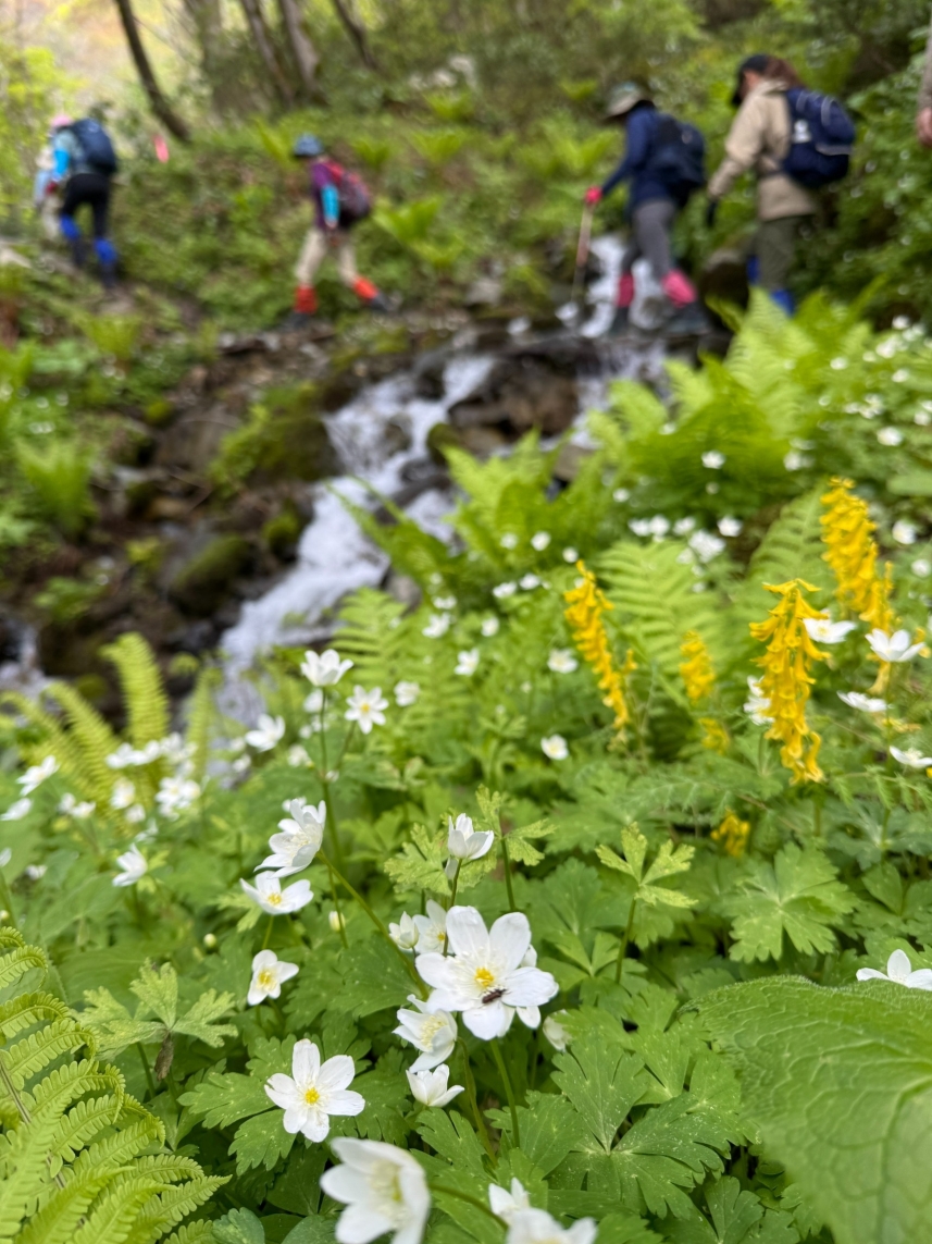 メインイメージ