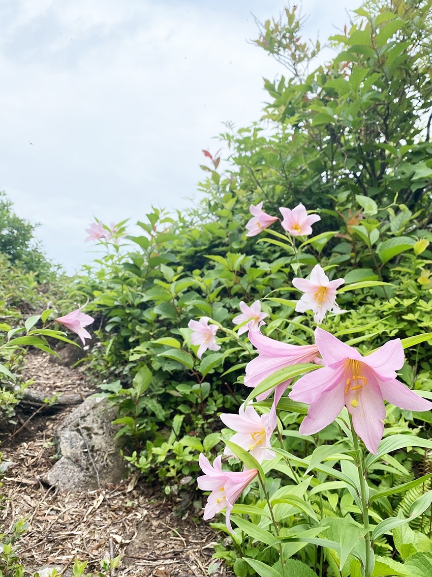 メインイメージ