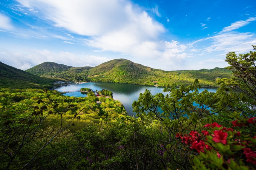 メインイメージ