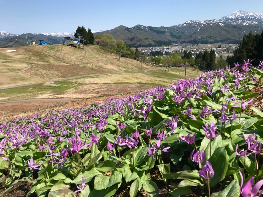 メインイメージ