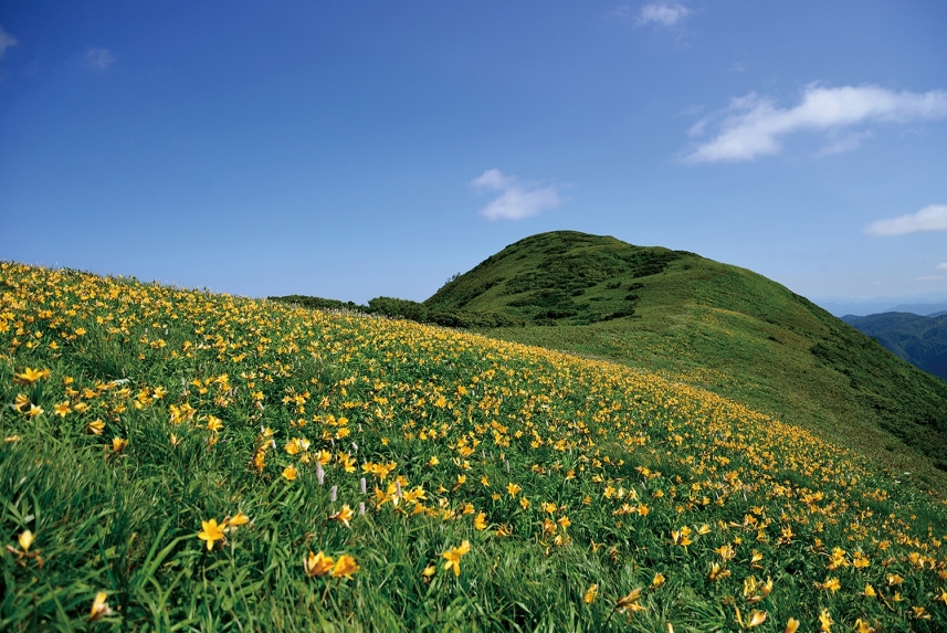 メインイメージ