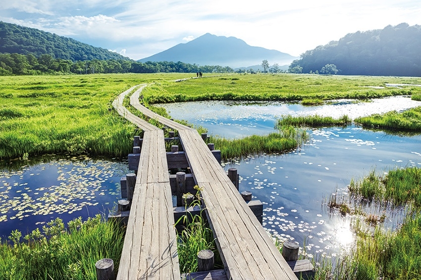 メインイメージ