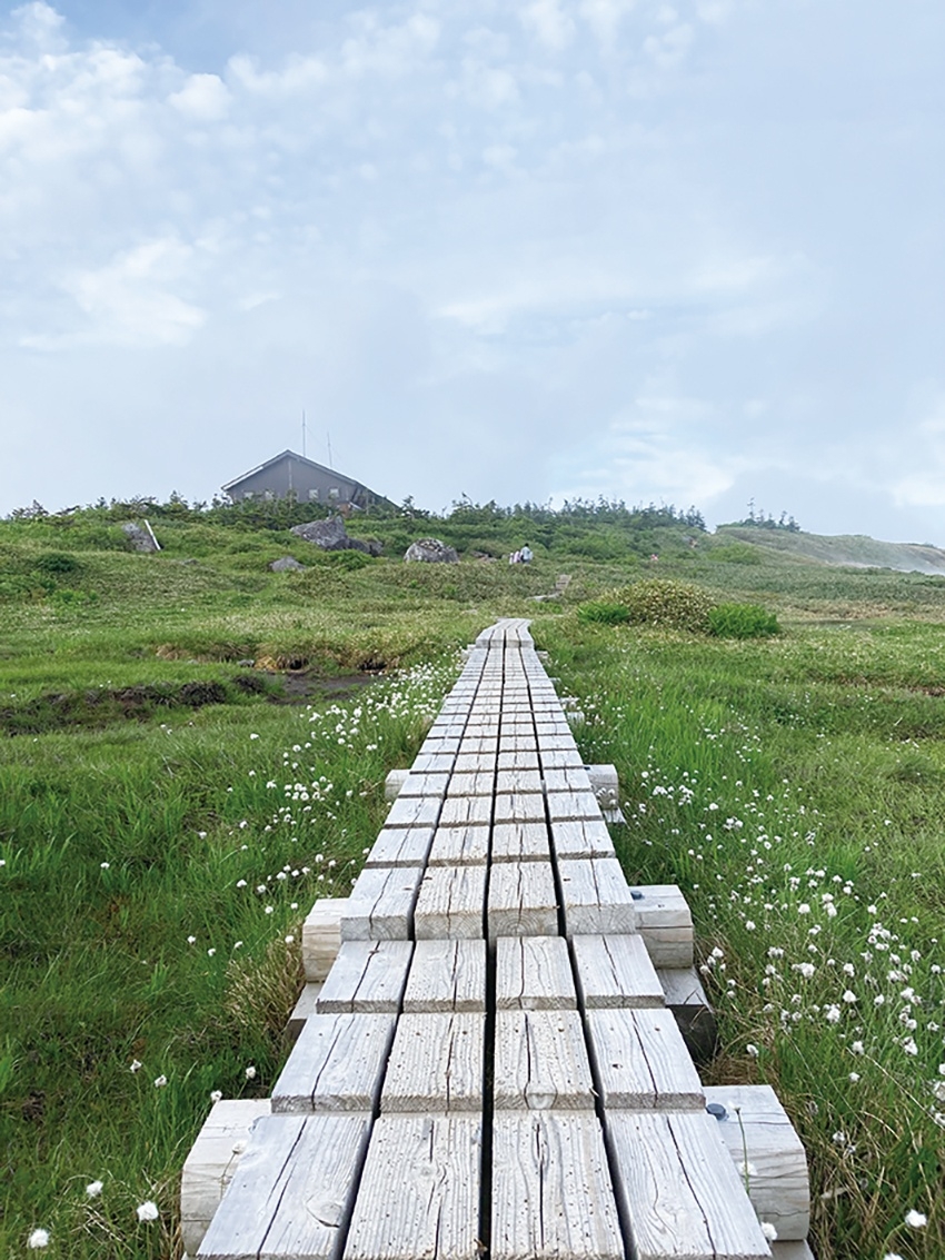 メインイメージ