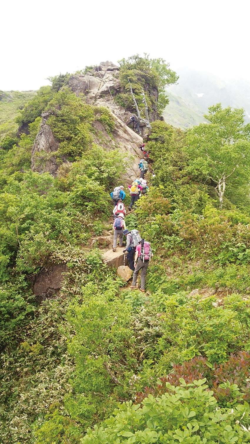 メインイメージ