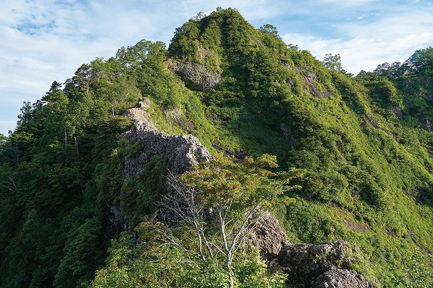 メインイメージ