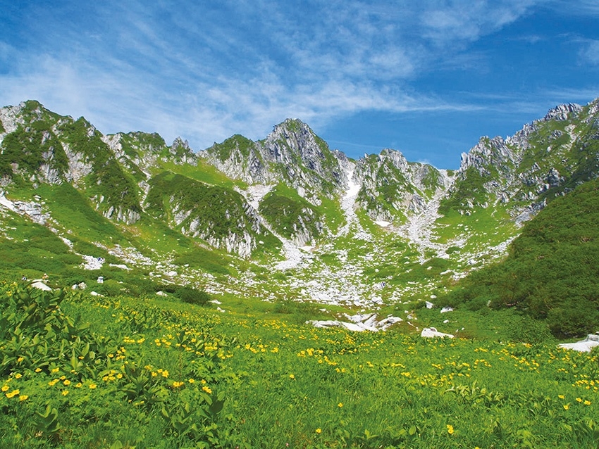 メインイメージ