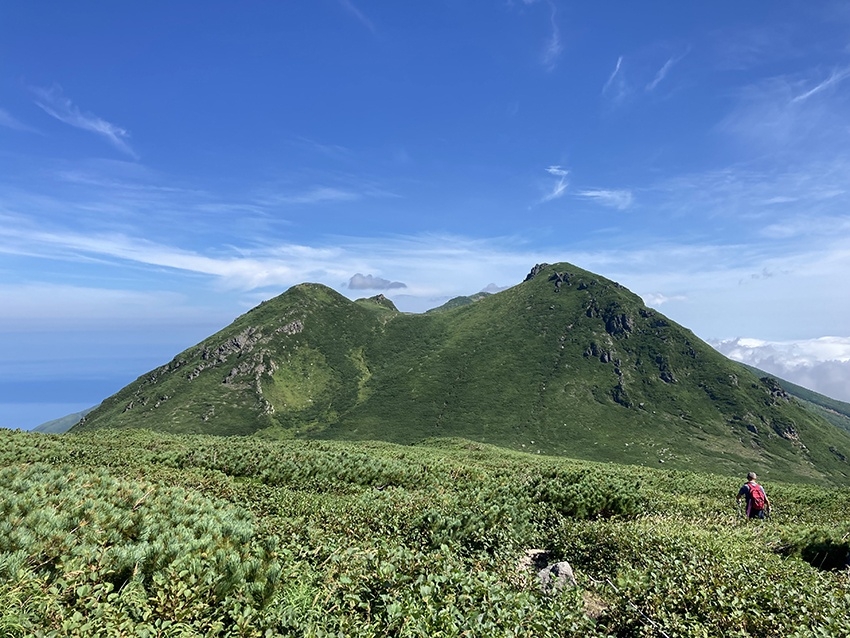 メインイメージ