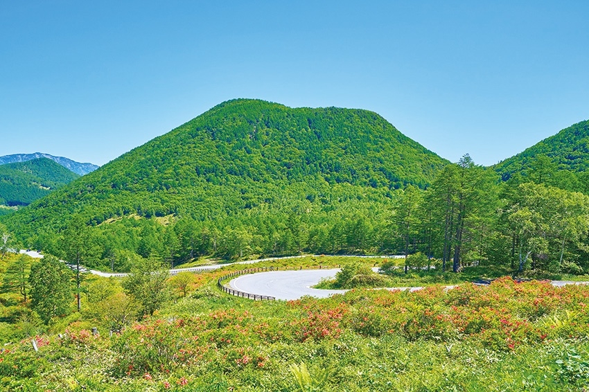 メインイメージ