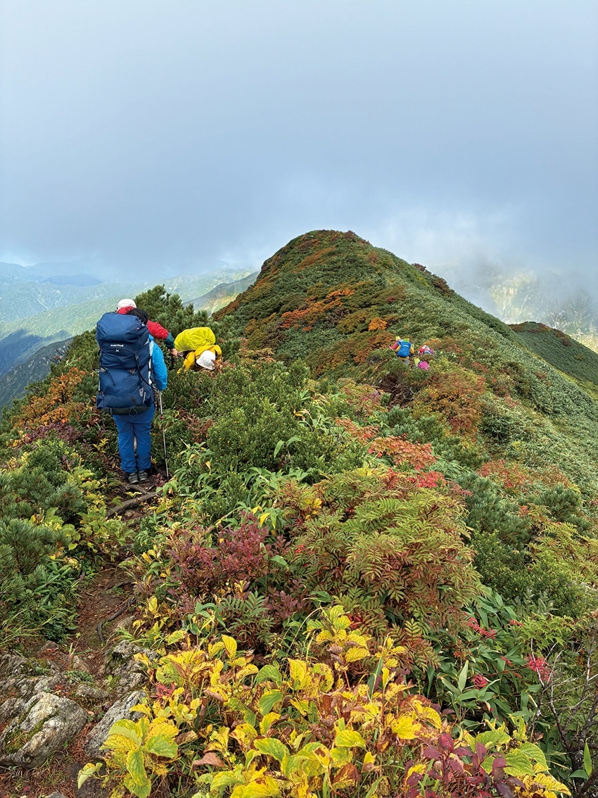 メインイメージ