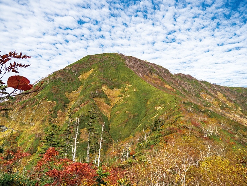 メインイメージ