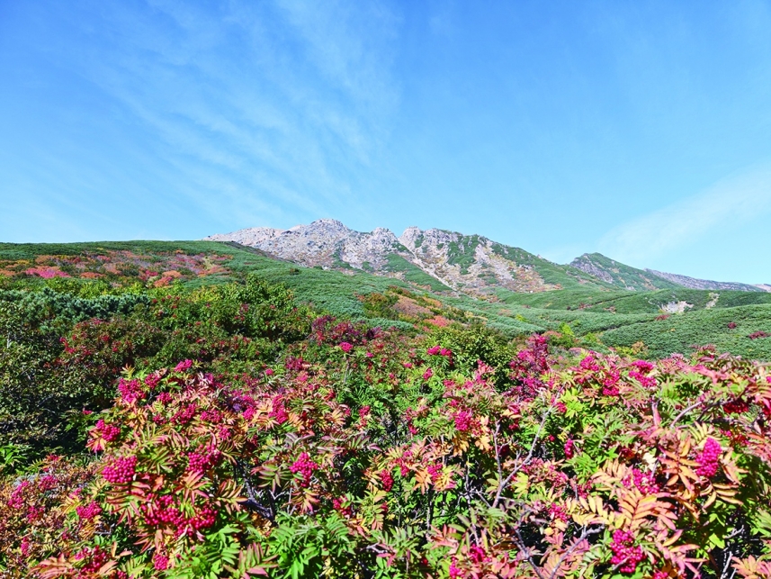 メインイメージ