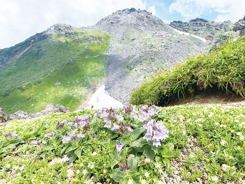 メインイメージ