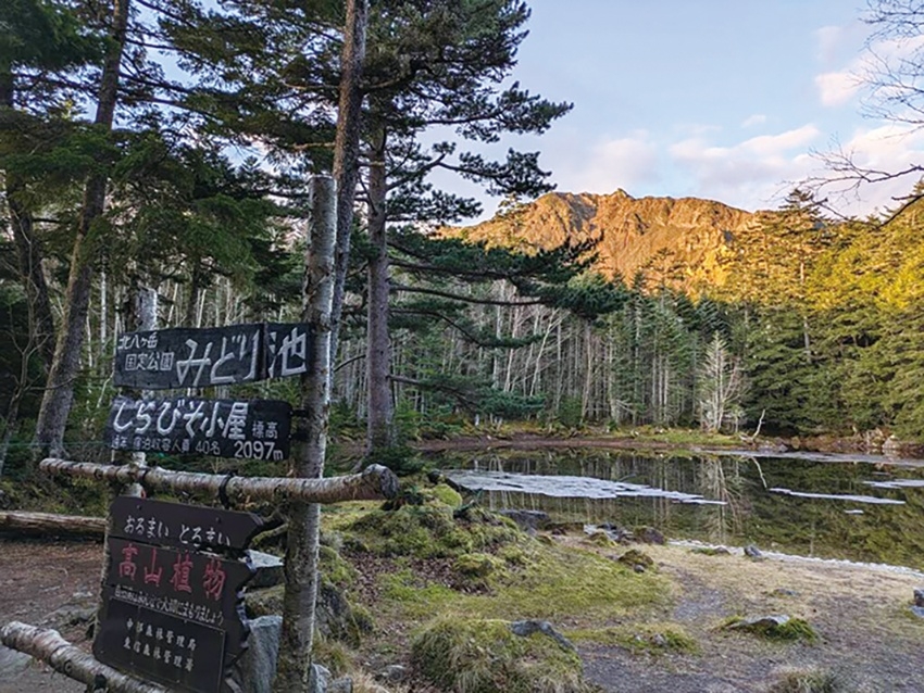 メインイメージ