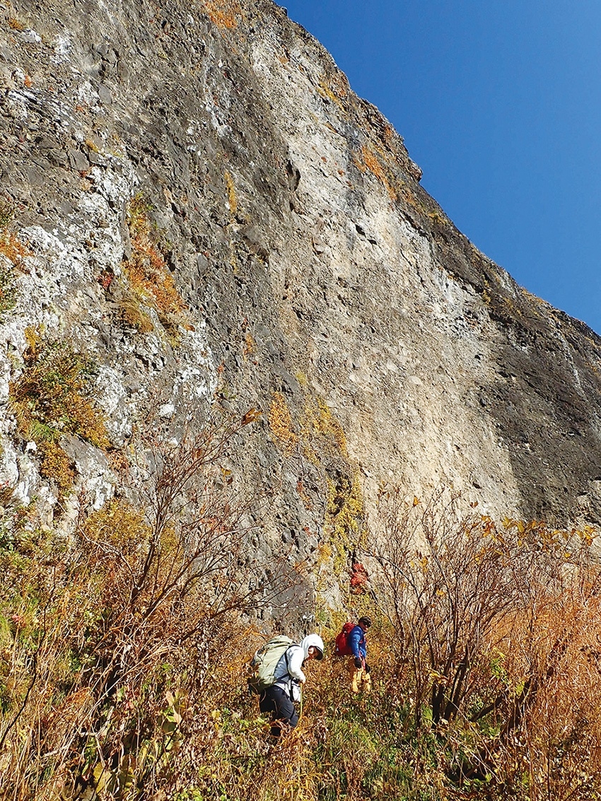 メインイメージ