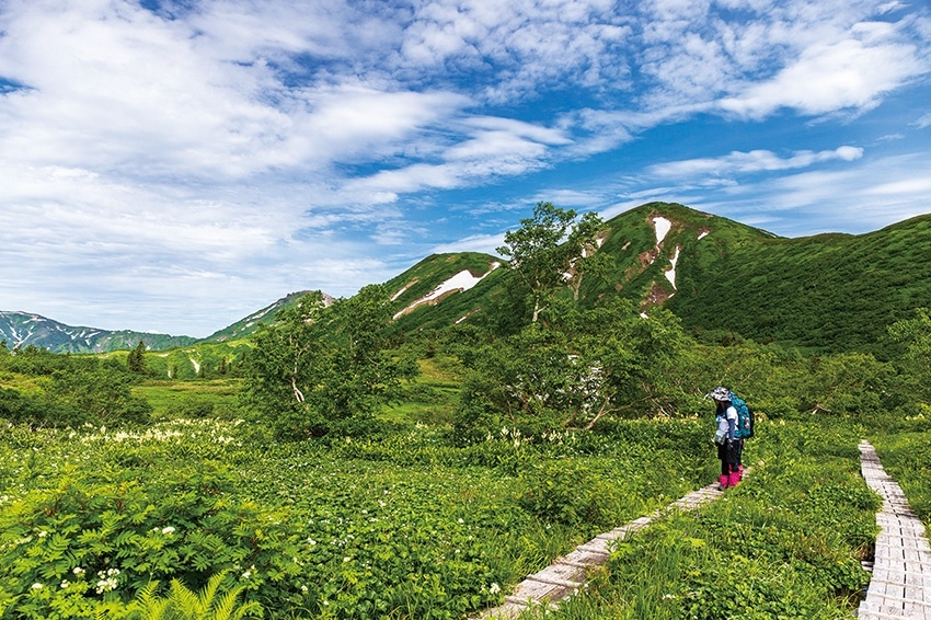 メインイメージ