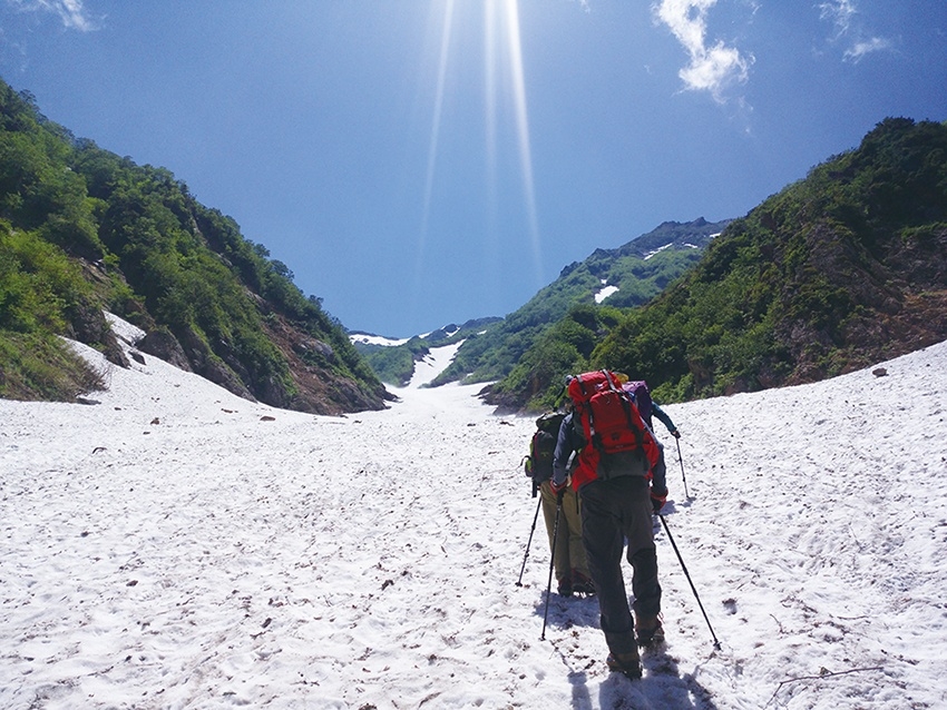 メインイメージ