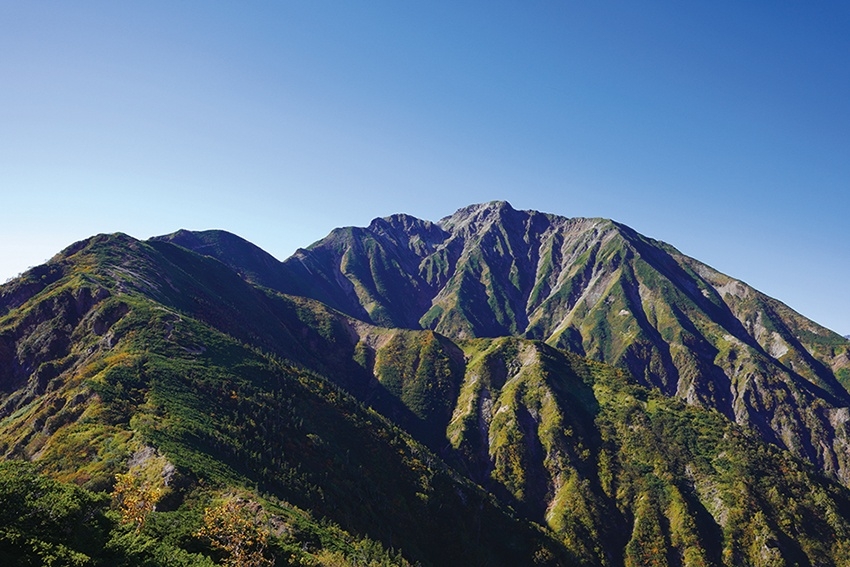 メインイメージ