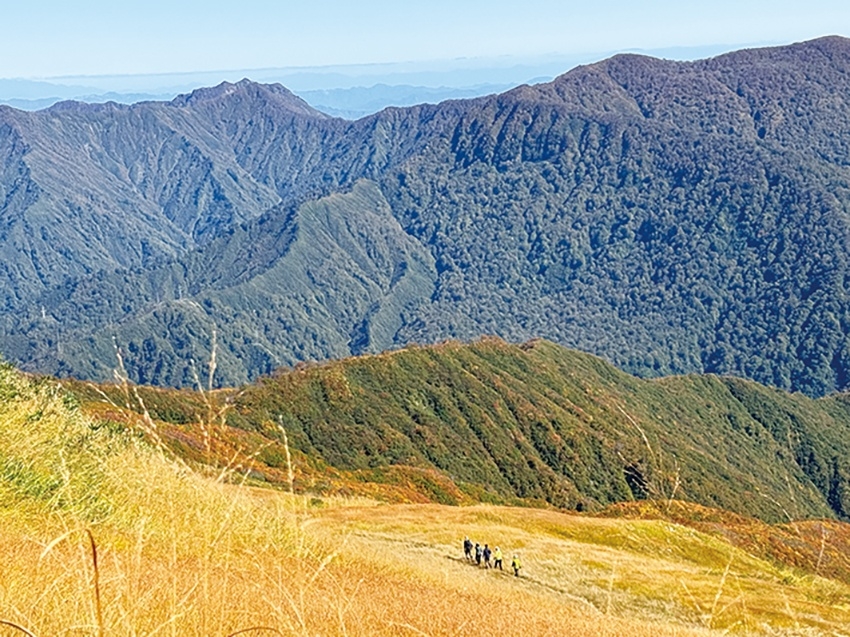 メインイメージ