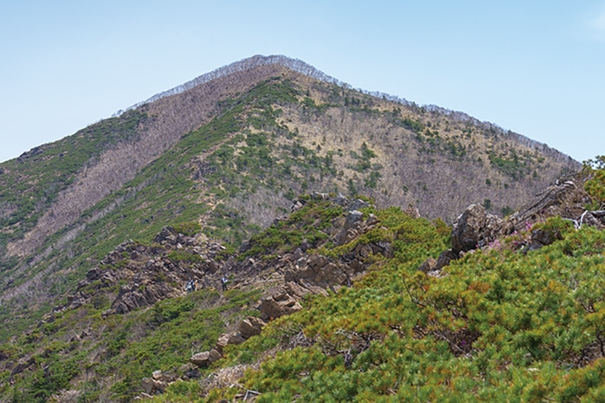 メインイメージ